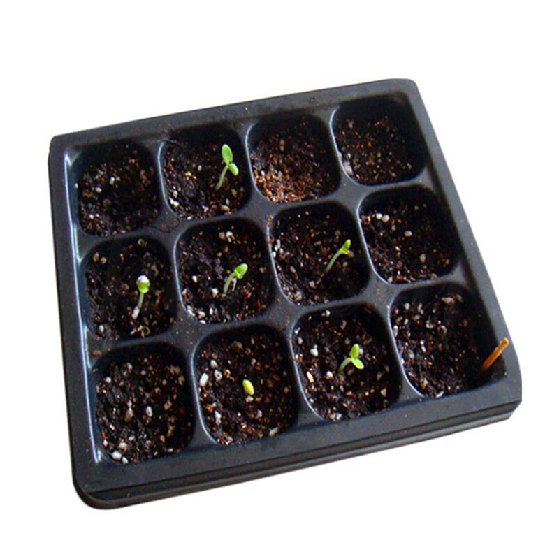 3pcs/set 12 Hole Plant Seed Grow Box Insert Propag... – Grandado