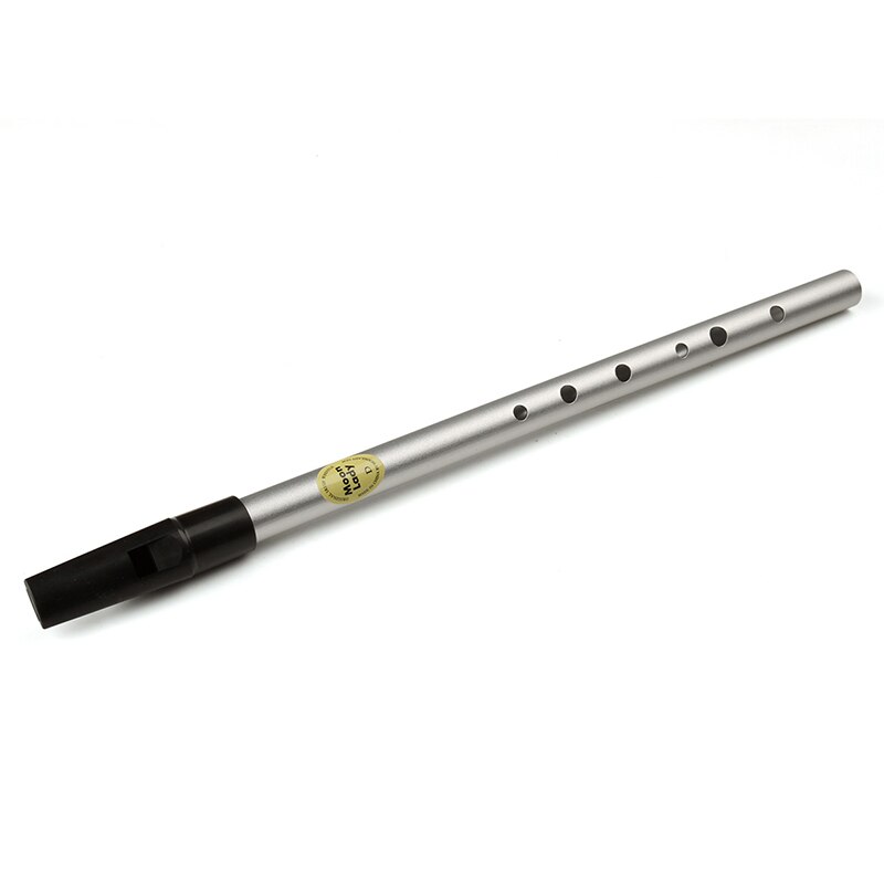 D Key Zilver Irelish Verticale Fluit Tinwhistle Muziekinstrumenten Ierse Fluitje Houtblazers Instrument Fluit