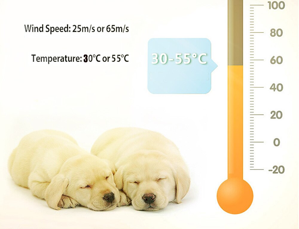 Adjustable Low Noise Pet Hair Dryer Dog Cat Grooming Heater Blower Dryers