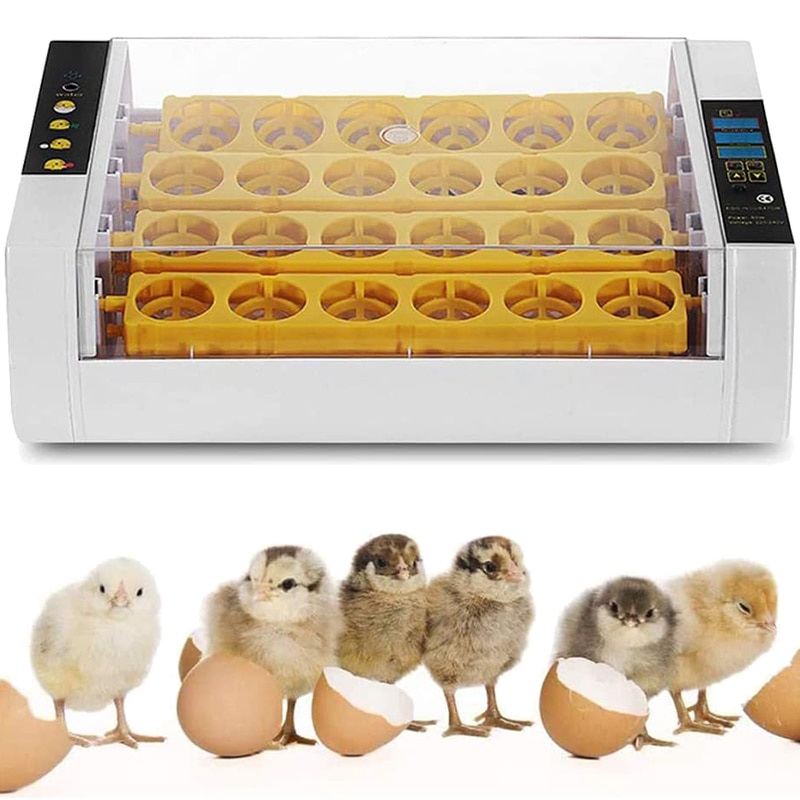24 Eieren Incubator Automatische Draaien Uitkomen Met Led Scherm Temperatuur Vochtigheid Controle Voor Kip Kwartel Vogel Incubatie Tool