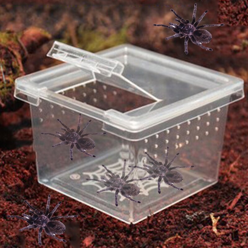 Jaula acrílica para reptiles, terrario transparente transpirable, para cría de serpiente, lagarto, anfibio, Rana, Araña, 1 Uds.