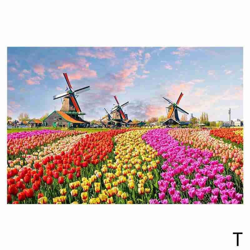 500 Pieces Jigsaw Landscape Pictures Puzzles Toy For Adults Kids DIY Landscape Pattern Puzzles Assembling Educational Toy: T