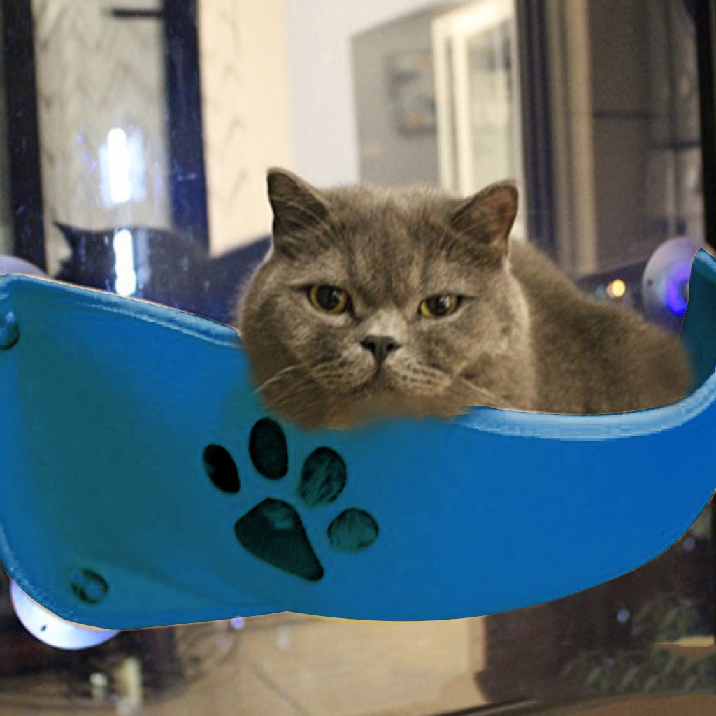 Cat Window Pod Suction Cup Dogs Pet Deep Sleep Cat Sleeping Bed Cat Window Pod cat's sleeping bed for bird watching