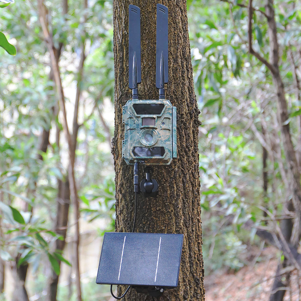 D4 5V 6V Solar Batterijlader Voor Beveiligingscamera Draagbare Zonne-energie Bank Met DC 5521 Uitgang 4W Zonnepaneel Batterijlader