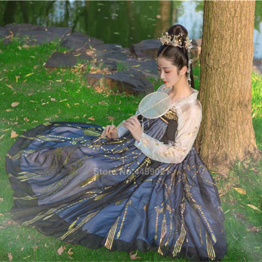Women Chinese Style Traditional Folk Dance Costume Oriental Han Dynasty Fairy Performance Hanfu Crane Singer Printed Skirt Set