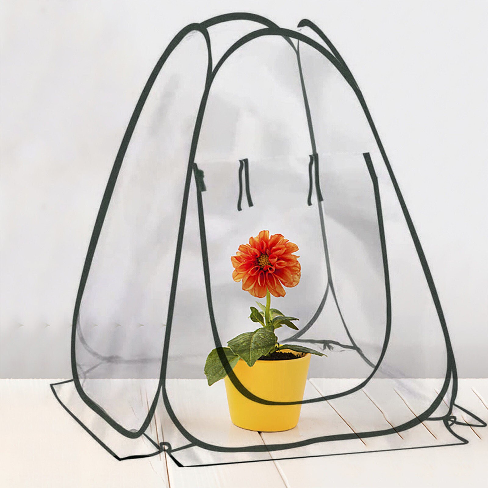 4# Plant Winter House Warm Mini Pop-up Greenhouse Plant Overwintering Tent Winter Protection Greenhouse Pvc Warm Garden Set