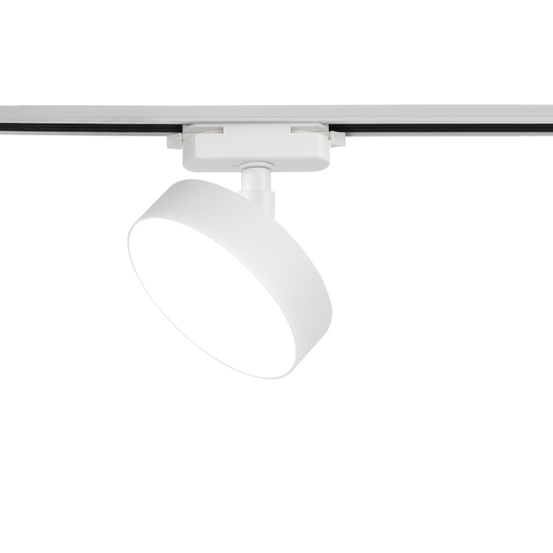 LED-Schienen leuchte LED-Deckens trahler 10W 20W 30W Schienen leuchte für Wohnkultur Bekleidungs geschäft Scheinwerfer Decken leuchte: Dunkelgrün / Blau
