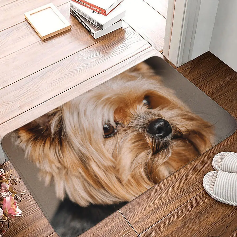 Bedroom Balcony Non-Slip Rug Entrance Door Mat Floor Dog Funny Pug Schnauzer Kitchen Living Room: 1 m2 / WHITE