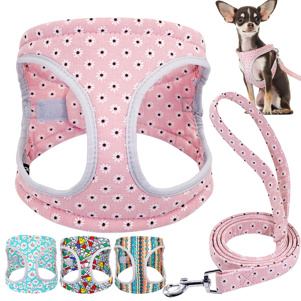 Geen Pull Hond Kat Harnas Nylon Reflecterende Huisdier Harnas en Leiband Set Mesh Hond Puppy Harnassen Leash voor Kleine Honden chihuahua