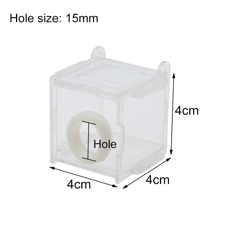 DIY Ecological Gypsum Ant Farm Test Tube Water Plaster Ant Nest Various Sizes Tubes Ant House Workshop for Pet Anthill Queen Ant: 15mm Feeding