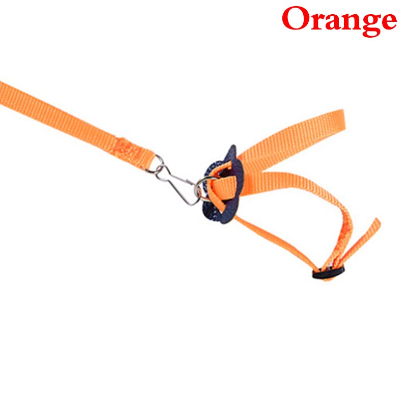 Harness And Leash For Birds Parrot Cockatiel Parakeet Conure Macaw Training Rope 5 Colors: Orange