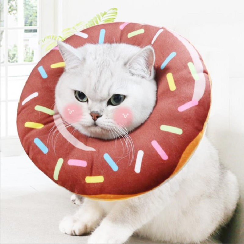 1 pièces collier de récupération réglable pour chat beignets collier élisabéthain pour chien de compagnie collier de récupération cône pour chirurgie de léchage Anti-morsure