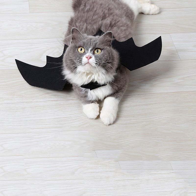 Halloween husdjur hund katt bat vinge kostym valp kattungar svart filt bat vinge för halloween fest maskerad dekor kostym tillbehör