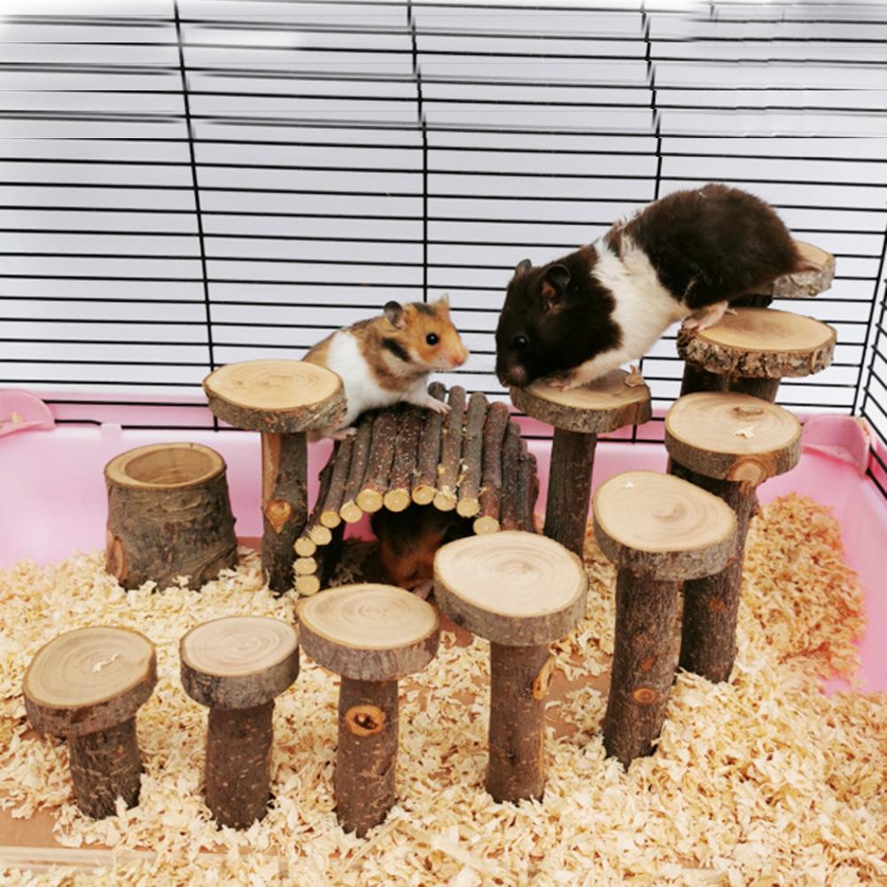 Petit Hamster pour animaux de compagnie jouets échelle pomme bois Hamster escalier étape Fitness exercice jouet hamac aire de jeux petit animal domestique mangeoire
