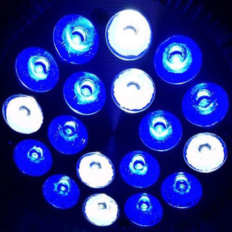 (1 stuks/partij) E27 LED Aquarium lamp, AC85-265V, 15 w/21 w/27 w/36 w/45 w/54 w, water planten Groeien Licht blub Voor Aquarium Verlichting: 12blue 6white