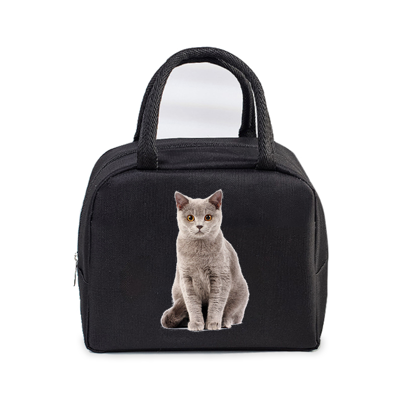 Lunch Bag for Women Men Insulated Portable 3D Cartoon Cats Multifunctional Bag Thermal Food Container School Kids Picnic Handbag: Pomarańczowy