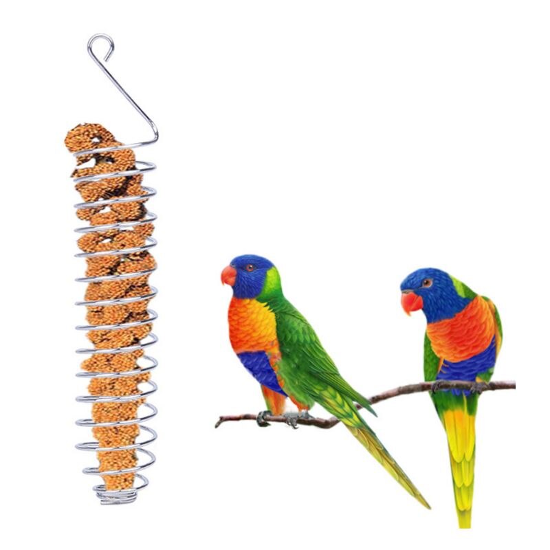 Stainless Steel Bird Parrot Feeder Food Fruits Basket Holder Foraging Equipment Bird Cage Feeding Device Birds Training Toy