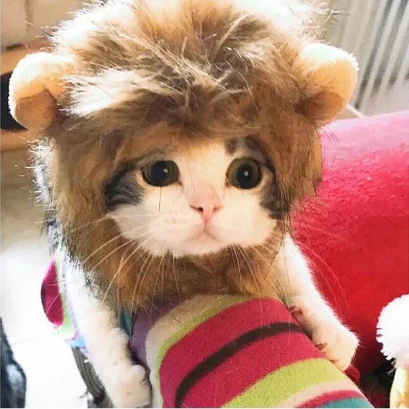 Leuke Leeuw Manen Kat Pruik Funny Pet Kleding Hond Kat Cap Hat Kostuum Cosplay Jurk Met Oor Party Interactieve speelgoed Dierbenodigdheden