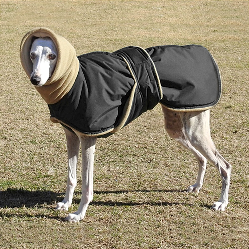 Chaqueta cálida impermeable para perros medianos y grandes, abrigo grueso de invierno para galgo, lobero irlandés y pastor alemán: Negro / 4XL