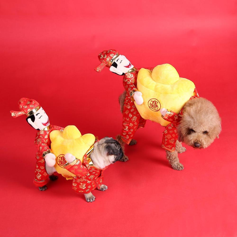 Chien vêtements chat Halloween drôle Costume fournitures pour animaux de compagnie équipement d'équitation robe petit moyen chien justaucorps manteau vêtements jeu de rôle: God of wealth / S