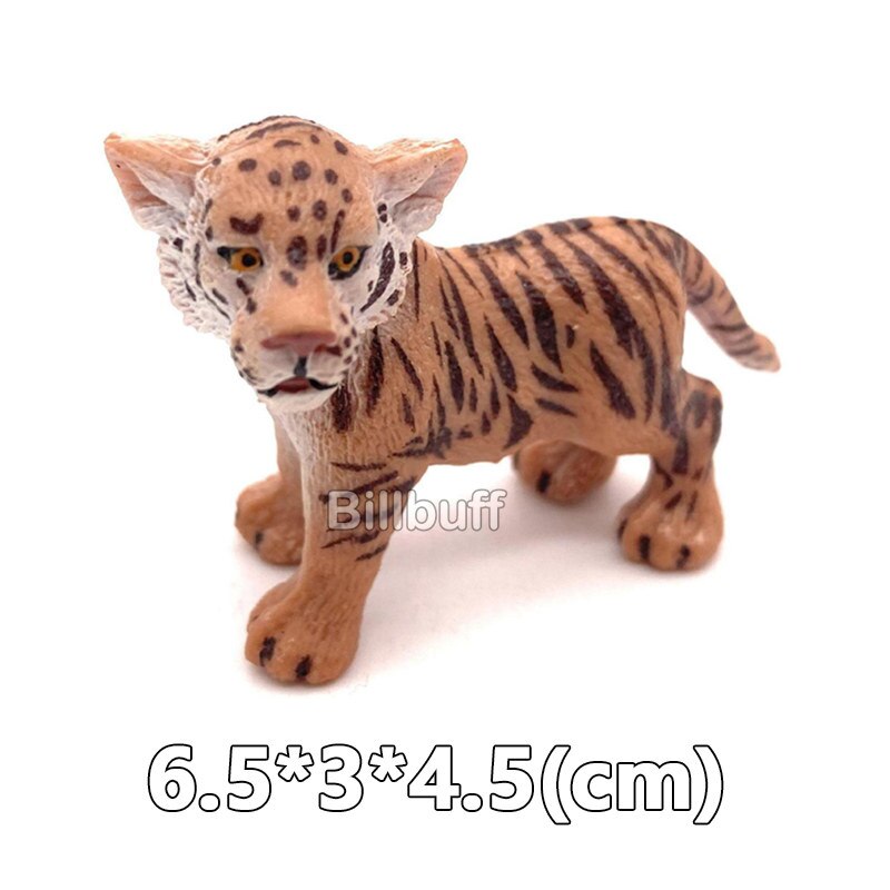 Simulation Wilden Ebene Weiß Tiger Tigerin Männlichen Tiger Modell Aktion-figuren Figuren Sammlung FrüHenne Bildung Spielzeug für freundlicher: Tiger Zahlen i