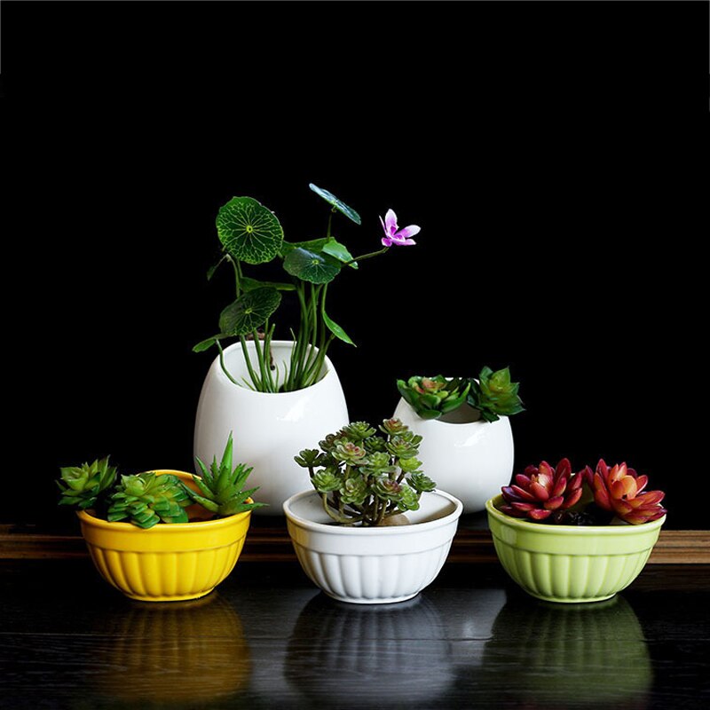 Hengende keramiske sukkulenter planter blomsterpotte mini potter for planter grønne plante plantekasser holder moderne hjemmekontor veggdekorasjon