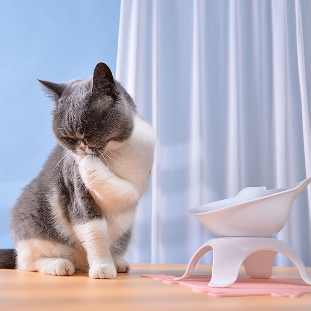 Verhoogde Kommen Voor Katten Enkele Dubbele Kat Bowls Verhoogde Stand Kat Voeden & Watering Supplies Hond Feeder Dierbenodigdheden