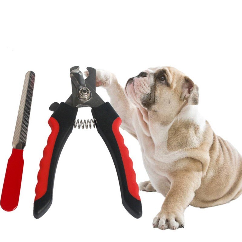 Cortador de uñas para mascotas, tijeras de aseo para animales, tijeras duraderas para gatos, lima de uñas para perros de acero inoxidable