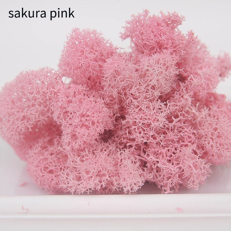 Puutarhan kodin sisustus elävä sammallaatikko tarvikkeet monivärisiä mikromaisematarvikkeita ikuisen elämän sammal 10g: Sakura vaaleanpunainen