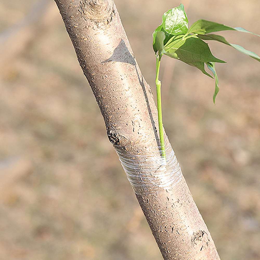 5 stk / sæt podningstape, der kan strækkes træplanteplante, selvklæbende tape, havepodningsværktøj til husholdningsudstyr
