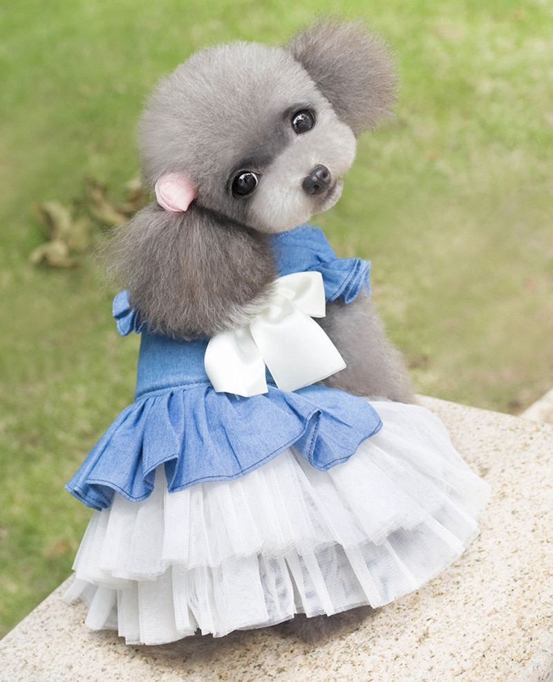 Vestido de tela vaquera para perros, ropa de verano para mascotas, Falda vaquera coreana para ropa de perro gato