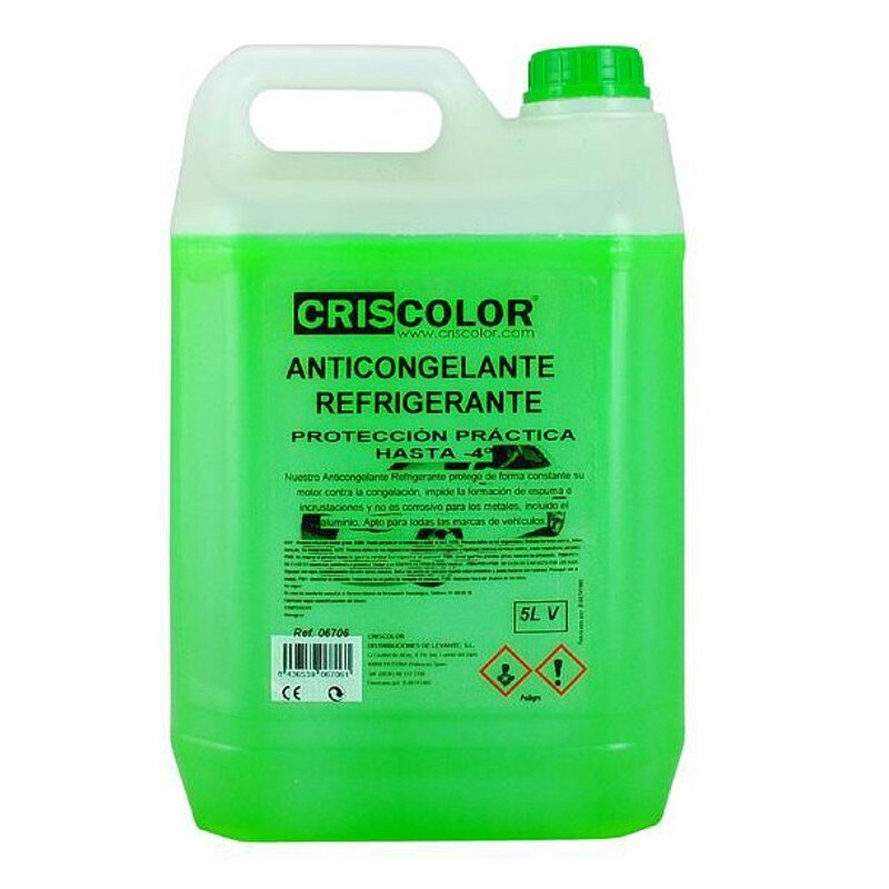 Anticongelante refrigerante coche protección práctica hasta -4 * C, verde, 5 L