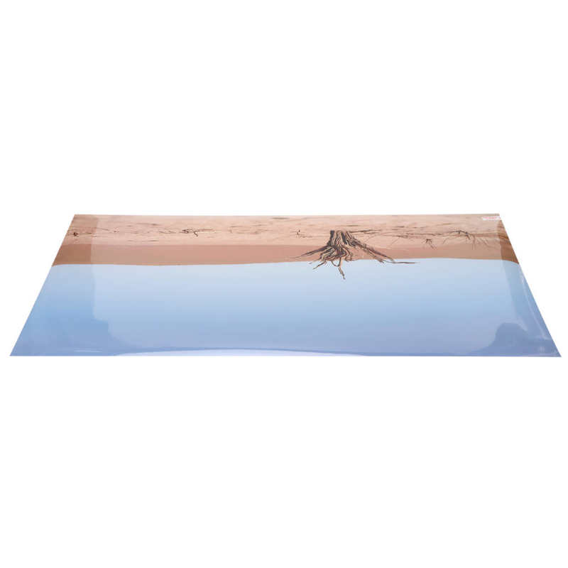 Fish Tank Background Decoration Aquarium Poster PVC for Terrarium