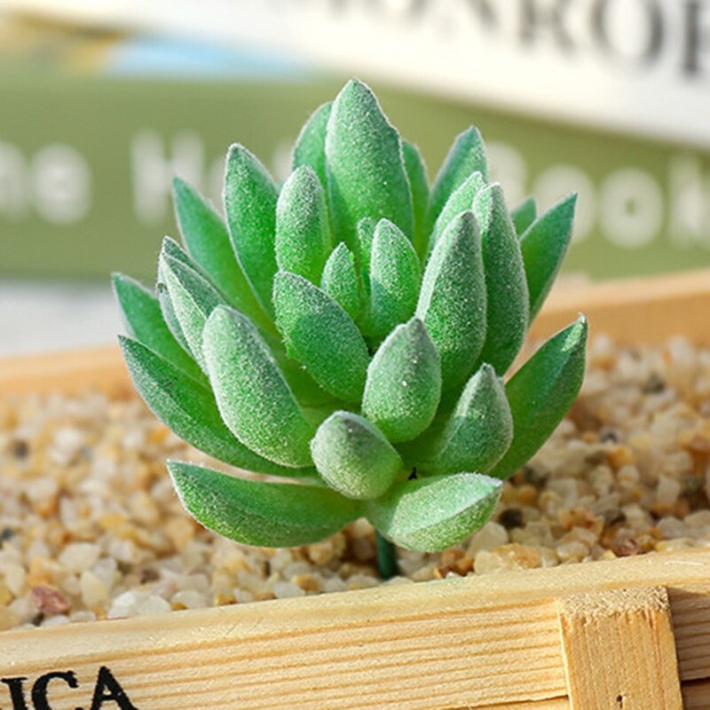 1Pc Groen Paars Rood Massaal Kunstmatige Vetplanten Planten Tuin Decoratie Bloemstuk Badkamer Accessoires Plant: Style24