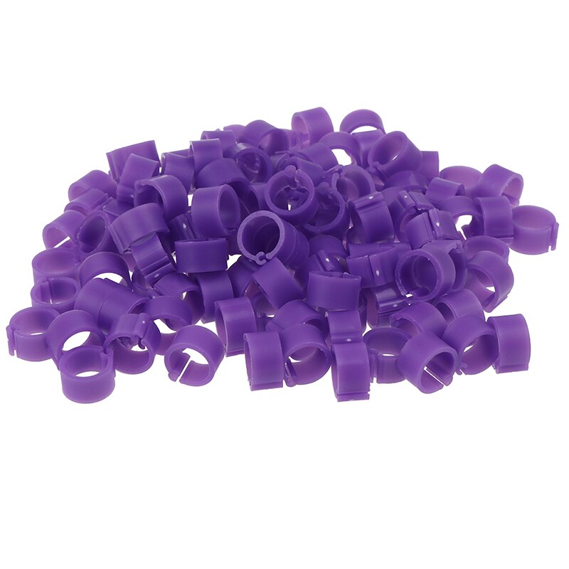 100Pcs Inner Diameter 8mm Pigeon Leg Poultry Dove Bird Parrot Clip Rings: Purple