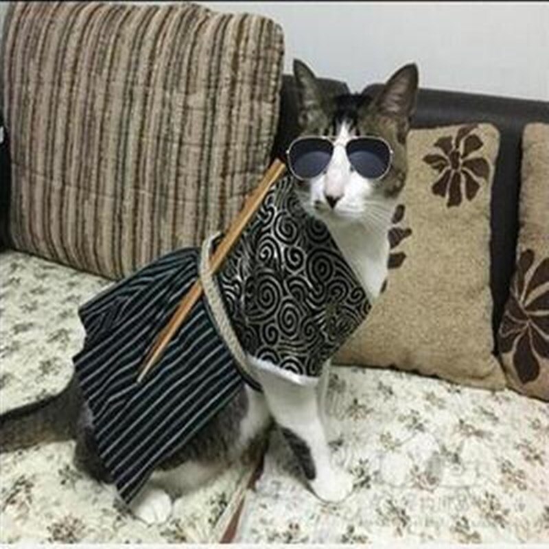 Ropa para perros y gatos, ropa para Samurai japonés, falda para caniche y osito de peluche, Kimono Samurai, vestido para mascotas, suministro de ropa para primavera y verano