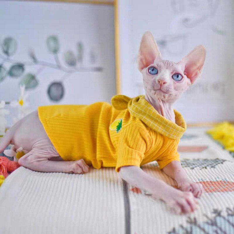Sphynx Cat Apparel Pineapple Pet Accessories Comfort Spring summer Outfis Clothes for cats Hairless Cat Clothes: Yellow / S