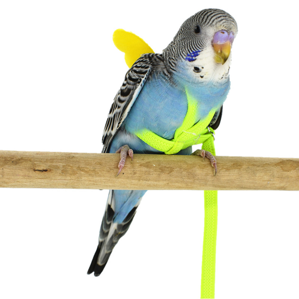 Pet Parrot Traction Strap Bird Harness Leash Flying Rope Straps Outdoor Training Rope For Budgerigar Lovebird Cockatiel Lizard