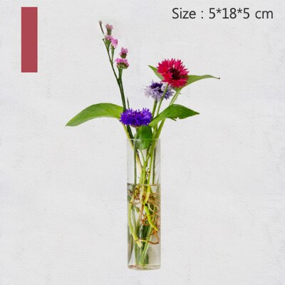 Europese glazen hydrocultuur wandbloemvaas, groene planten, wanddecoratie, aquarium, knutselen, scandinavische bloempot: 914