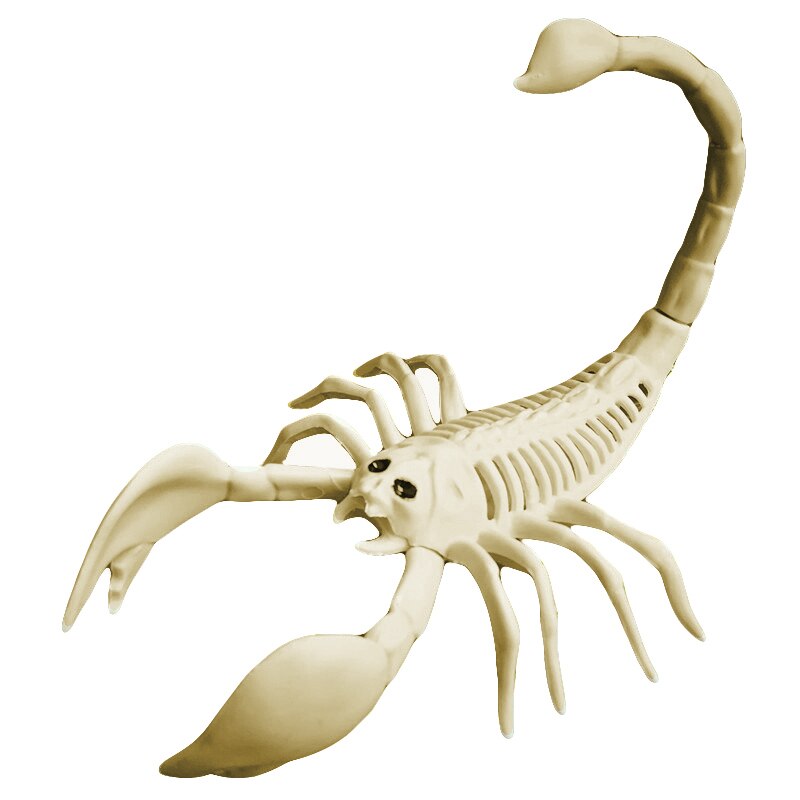 Halloween dekoration skorpion edderkop mus skelet halloween horror dyr dekoration rekvisitter halloween dekoration skelet fest: Skorpion