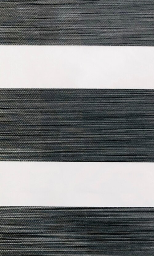 European sytle double roller blinds zebra blinds china factory with 100% blackout custom made blind window size: TC12-4 dark grey