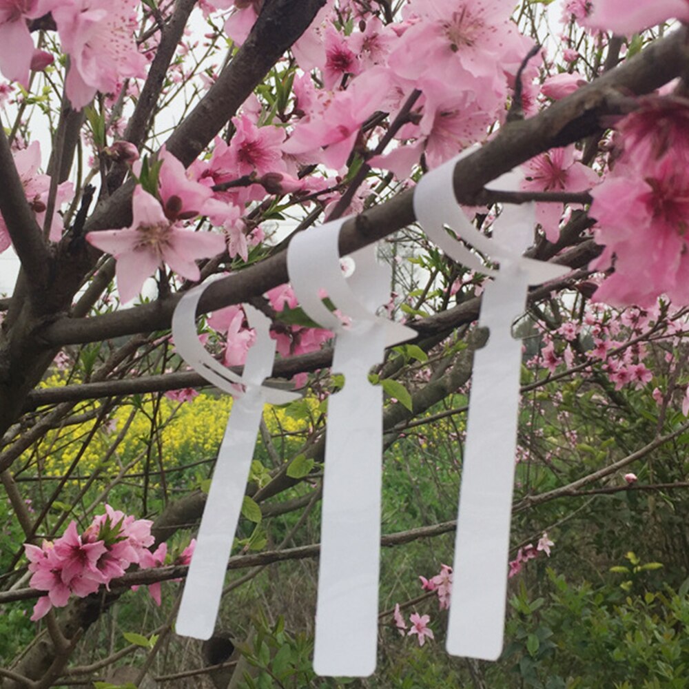 Étiquette Premium pour pépinière en PVC, 100 pièces, Type de plante en plastique, étiquette pour Pot de jardinière, étiquette pour légumes