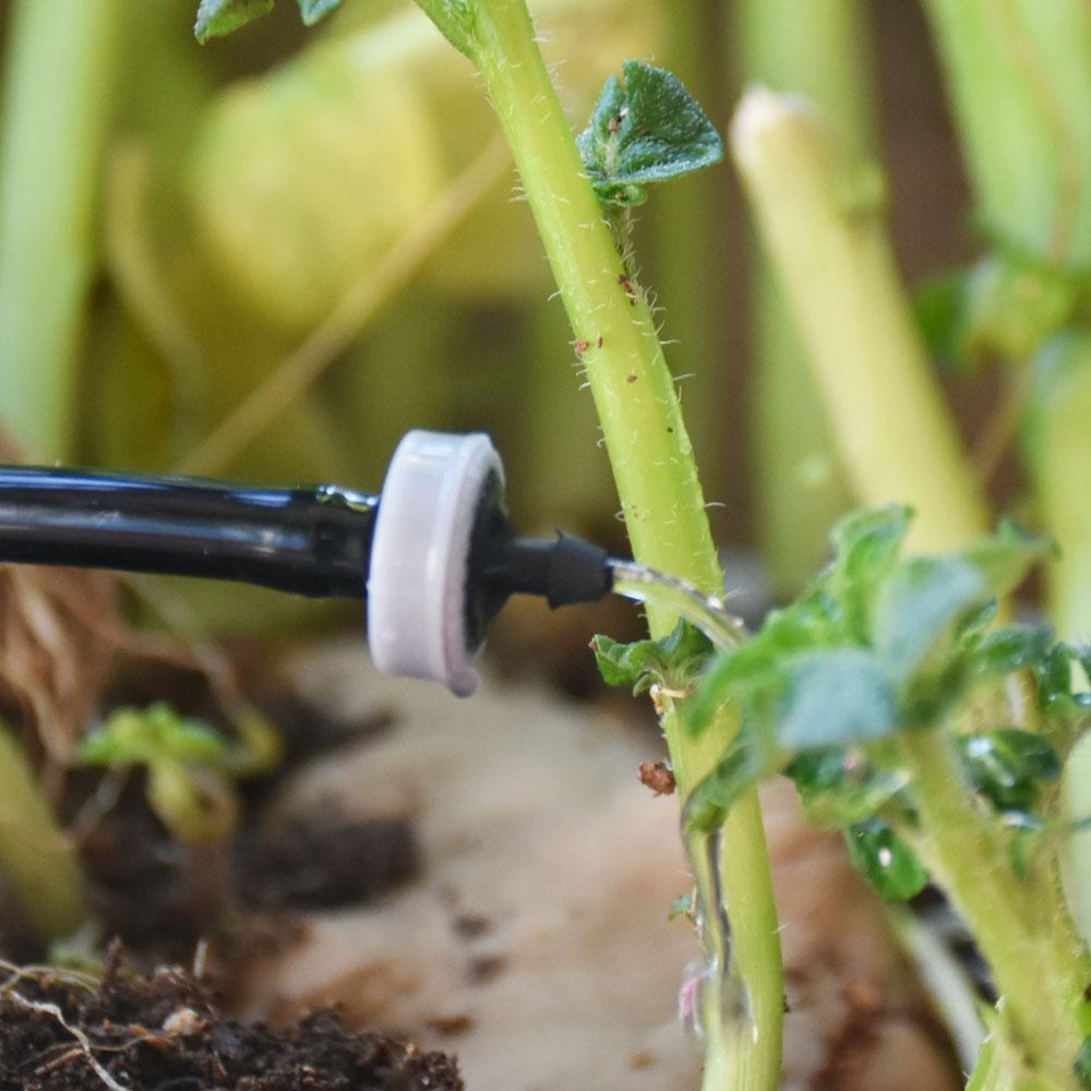 5-100Pcs Garden 2L/4L/H 8L/H Emitter Pressure Compensating Dripper Micro Irrigation Hose Drip Head Water Saving Dropper