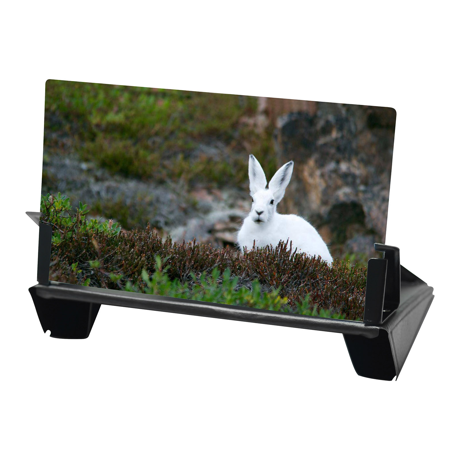 12 Cal 3D telefon komórkowy zakrzywiony ekran wzmacniacz HD wideo inteligentny telefon powiększalnik powiększalnik wspornik stojakowy uchwyt na telefon