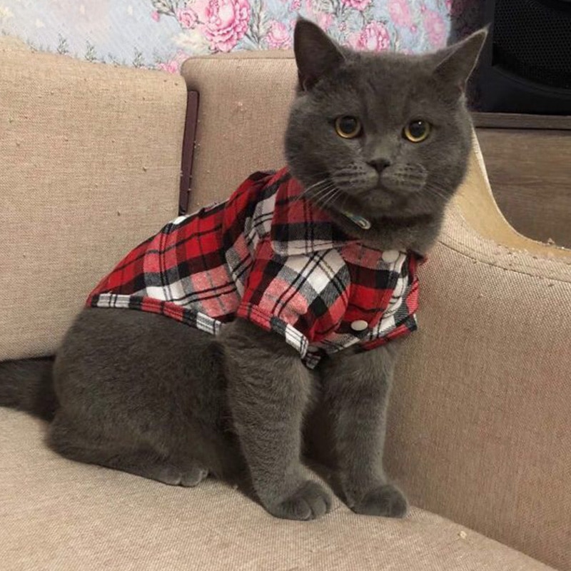 Plaid Cat Clothes Autumn Winter Pet Clothing for Small Cats Dogs Cotton Cat Costumes Soft Kitten Kitty Coat Jacket Puppy Outfit