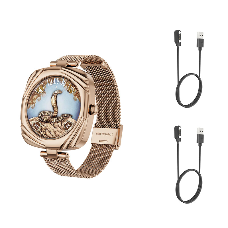 Aiweile AW5 accorto Orologi Donna Smartwatch Chiamata Bluetooth fitness inseguitore Riproduzione musicale AMOLED Coreano Ebraico Vietnamese: Argento