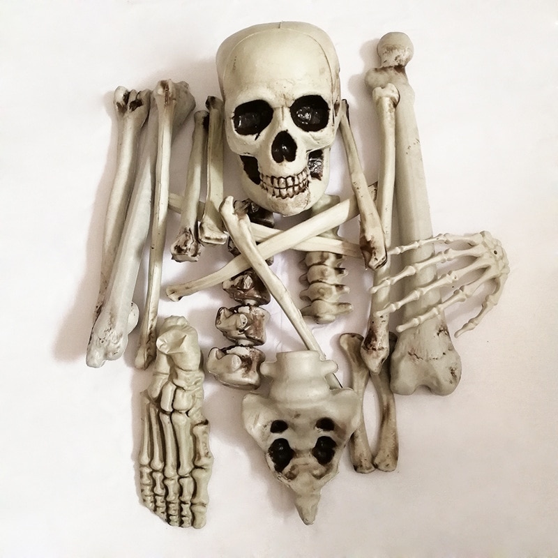 Halloween Skelet Spookhuis Secret Room Bar Horror Props Decoratie Hele Decoratie Menselijke Botten Schedel