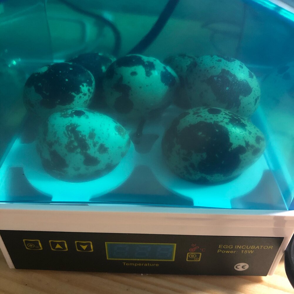 4pcs Egg Inccubator Hatchery Mini Digital Temperature Brooder Farm Brooder Quail Egg Hatcher Incubator Equipment Semi Automatic