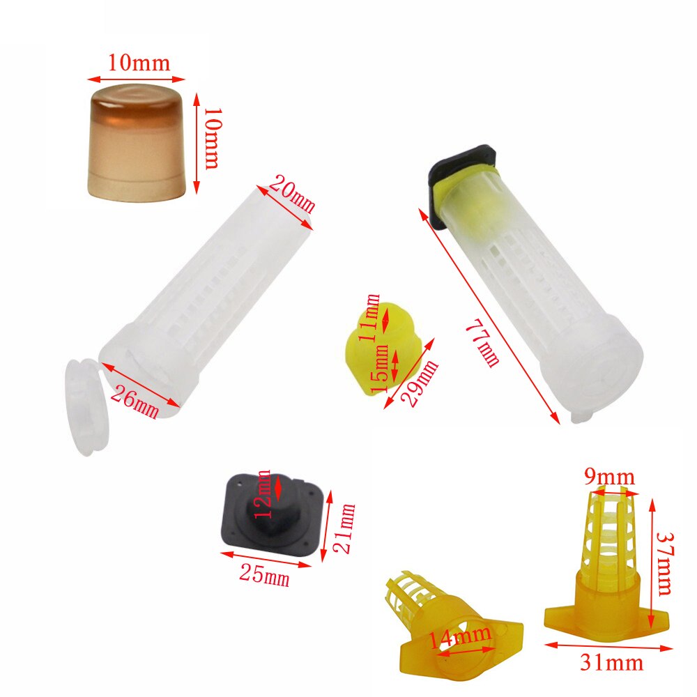 Kit completo de cría de abejas reina, sistema de protección, jaulas de cubierta, celdas, Base, herramientas de plástico, suministros de apicultura, 1 Juego
