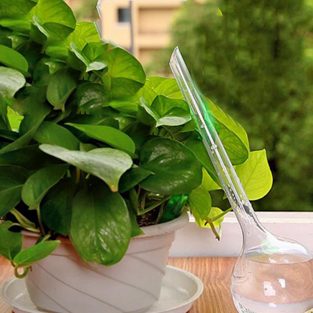 Boîtes pour arrosage automatique des plantes et fleurs en plastique distributeur d'eau, boule en PVC, outil pour arrosage automatique des plantes, jardin et maison